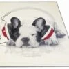 Alfombra MUSIC DOG Medidas 120x170cm