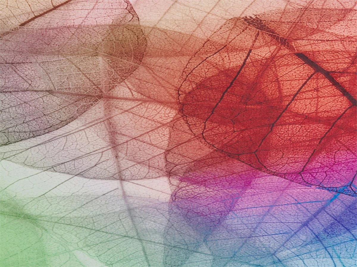 Alfombra Multicolor 140 X 200 Cm ANTAKYA 6 Alfombra Multicolor 140 X 200 Cm ANTAKYA - Imagen 6